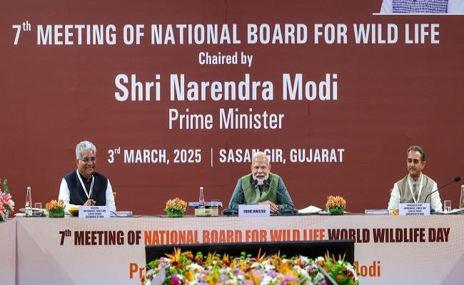 इस साल मई में कराई जाएगी भारत के एशियाई शेरों की गणना: प्रधानमंत्री