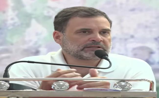 आगामी दिनों में जिला संगठन के माध्यम से पार्टी चुनावों में उम्मीदवार उतारेगी : राहुल