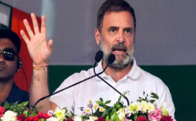 मध्य प्रदेश में कांग्रेस की सरकार बनी तो कराएंगे जातीय जनगणना : राहुल गांधी