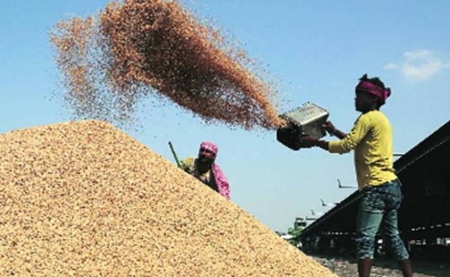 ओडिशा सरकार ने खरीफ 2025-26 के लिए धान का समर्थन मूल्य ₹69 प्रति क्विंटल बढ़ाया