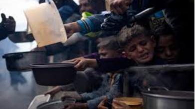 इजराइल की गाजा में भुखमरी की नीति 'नरसंहार' के समान: अमेरिकी सांसद का आरोप
