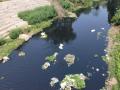 सरिसवा नदी को प्रदूषण मुक्त बनाने को लेकर वीरगंज महानगरपालिका ने शुरू की कवायद