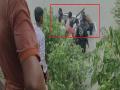 यूपी के गोंडा नहर में वाहन गिरने से 11 लोगों की मौत, मंदिर में पूजा करने जा रहे थे सभी
